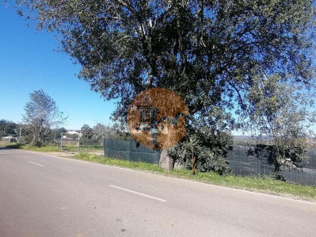 Terreno venda em Olhão, Faro
