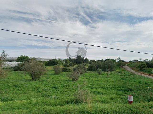 Terreno venda em Faro