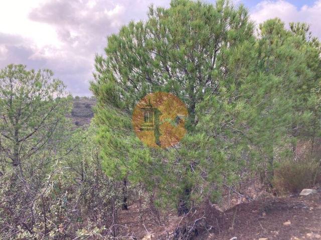 Terreno venda em Castro Marim, Faro