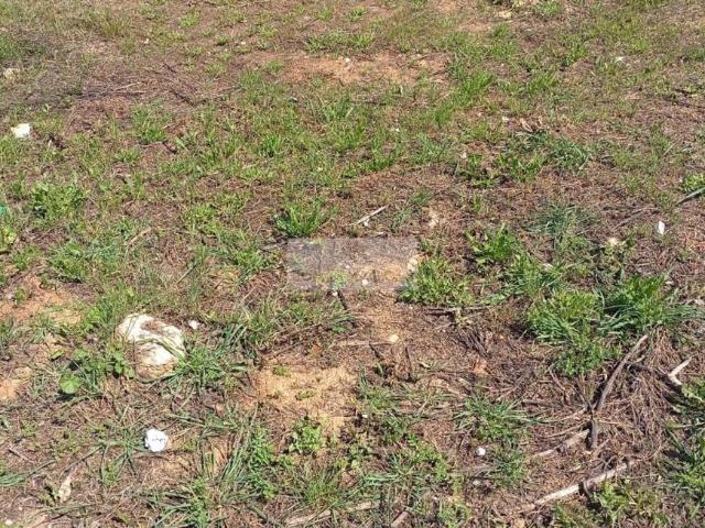 Terreno venda em Lagos, Faro