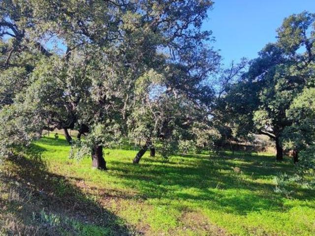 Terreno venda em Loulé, Faro