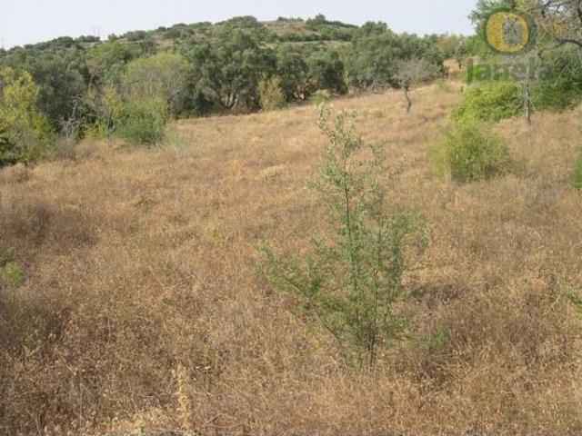 Terreno venda em Faro