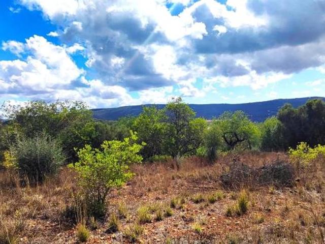 Terreno venda em Funchais, Loulé