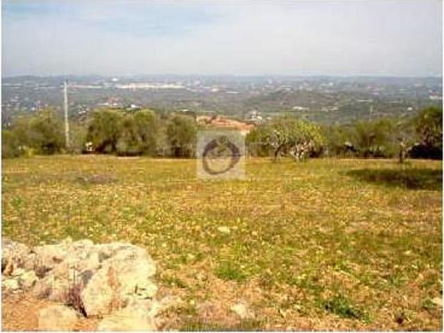 Terreno venda em Faro