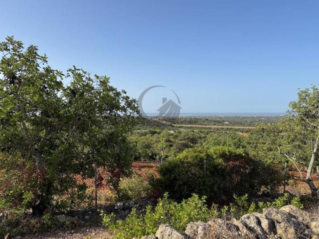 Terreno venda em Faro