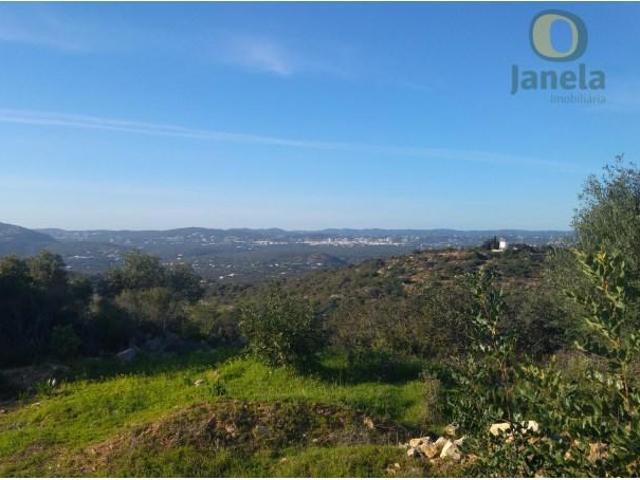 Terreno venda em Faro