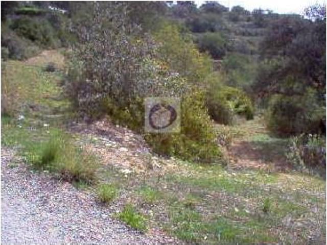 Terreno venda em Faro