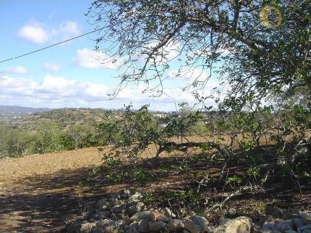 Terreno venda em Faro