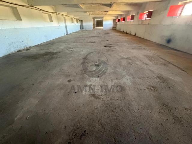 Loja alugar em Faro