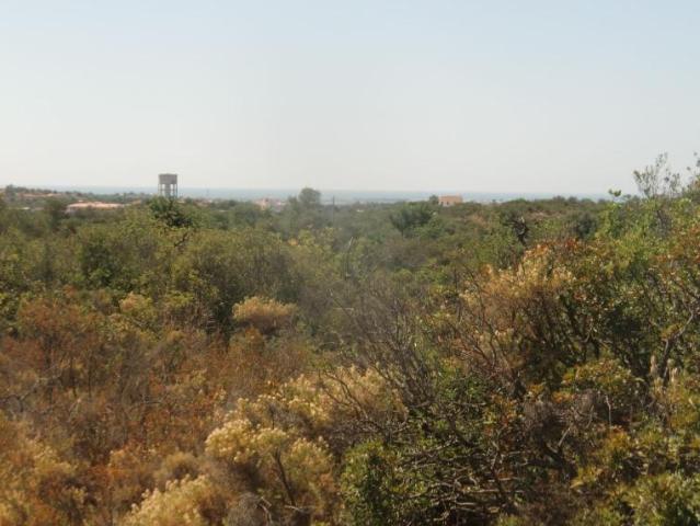 Terreno venda em Faro
