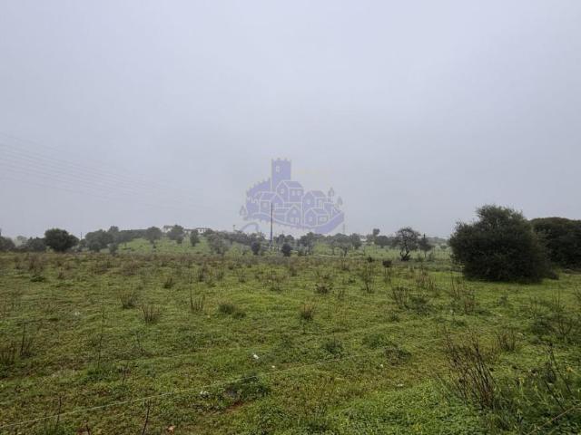 Terreno alugar em Poço Partido, Carvoeiro