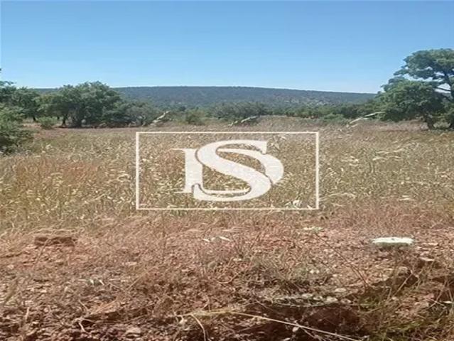 Terreno venda em Loulé, Faro