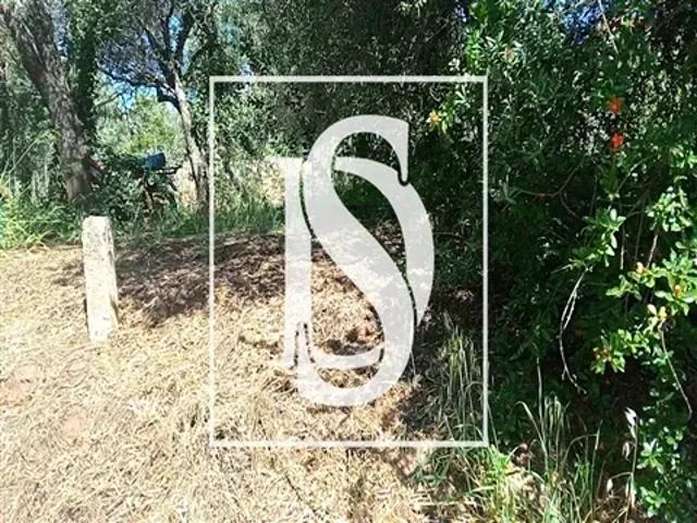 Terreno venda em Loulé, Faro
