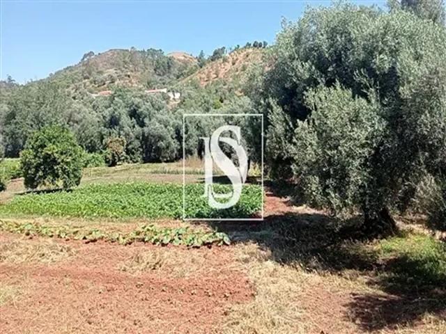 Terreno venda em Loulé, Faro