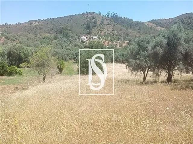 Terreno venda em Loulé, Faro