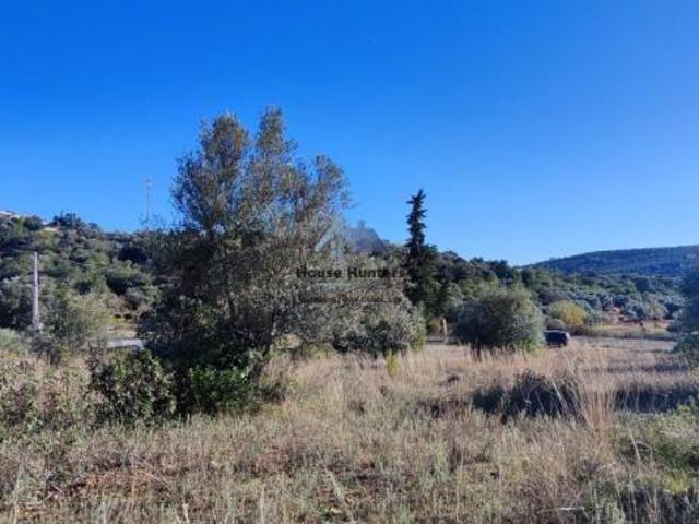 Terreno venda em Loulé, Faro