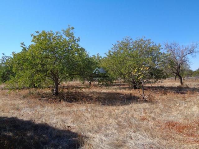 Terreno venda em Lagoa de Momprolé, Loulé