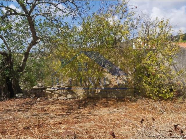 Quinta venda em Faro