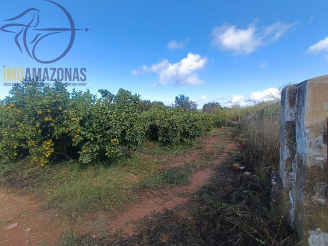 Terreno venda em Silves, Faro