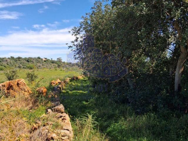 Terreno venda em Silves, Faro
