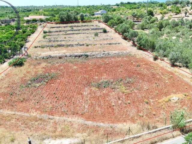 Terreno venda em Silves, Faro