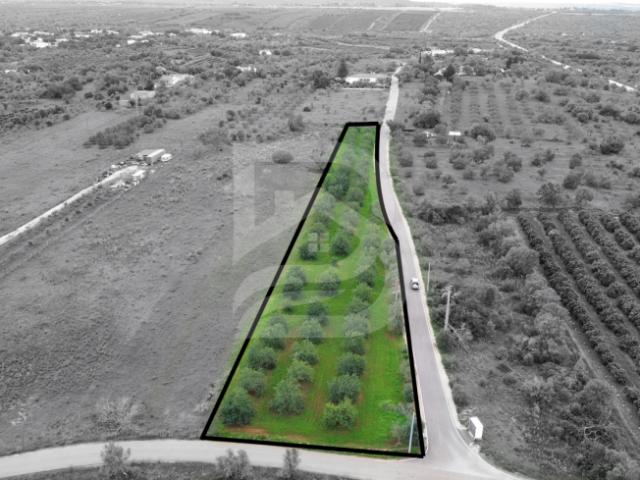 Terreno venda em Mourição, São Bartolomeu De Messines