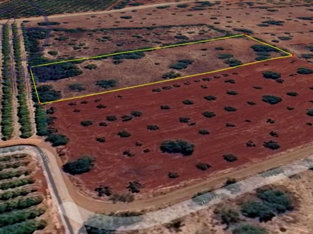 Terreno venda em São Bartolomeu De Messines, Faro