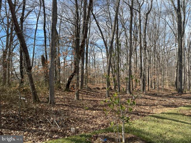 Land for sale in Bryans Road, Maryland