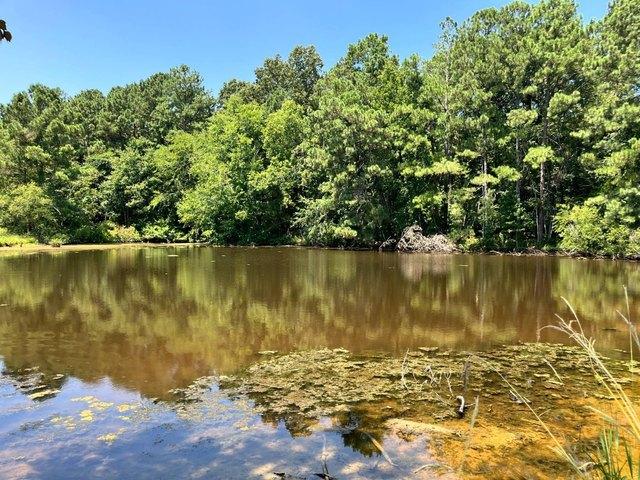 Land for sale in Saluda, South Carolina