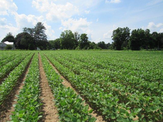 Land for sale in Colon, Michigan