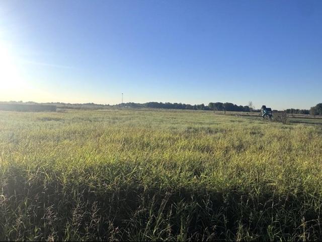 Land for sale in Palmer, Ellis County