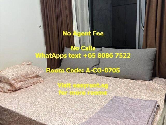 Room for rent in Holland