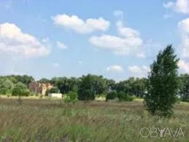 Участок аренда в Боярке, Винницкой области