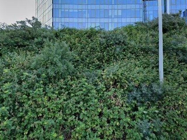 Bedrijfspand te huur in Fascinatio, Rotterdam