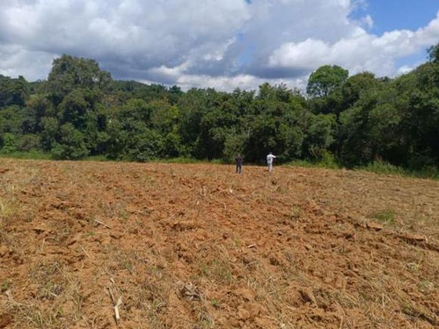 Sítio e chácara venda em Região Imediata de Sorocaba, Região Metropolitana de Sorocaba
