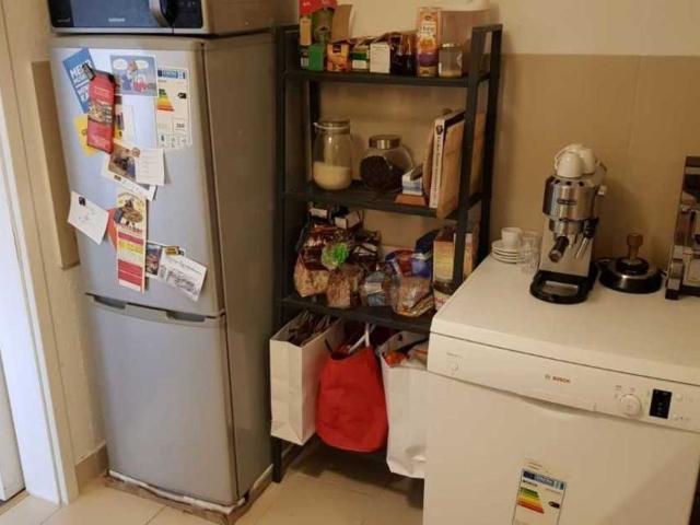 Apartment mieten in Pieschen, Dresden