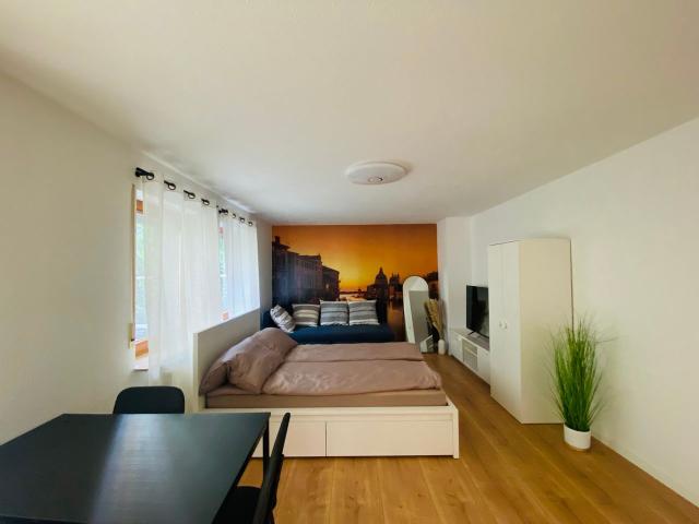 Apartment mieten in Innenstadt, Pforzheim