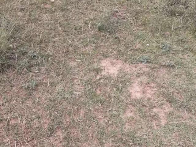Land for sale in Islamabad