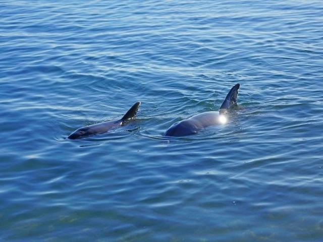 House for sale in Dundowran Beach, Queensland