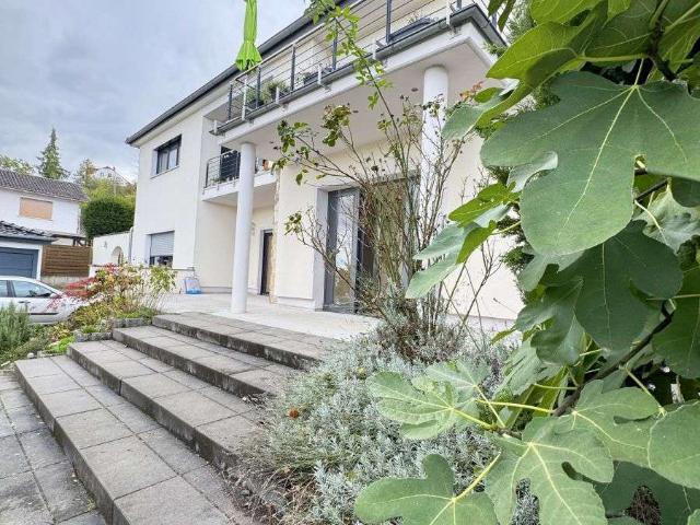 Wohnung kaufen in Nackenheim, Landkreis Mainz-Bingen