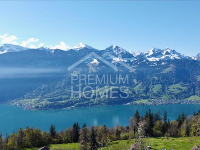 Grundstück kaufen in Beatenberg, Bern