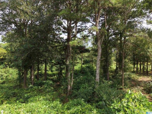 Land for sale in Blount, Alabama
