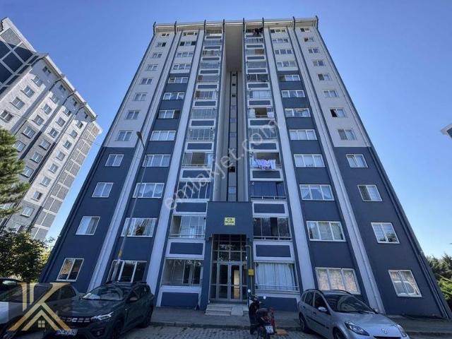 Ordu içerisinde kiralık mülk