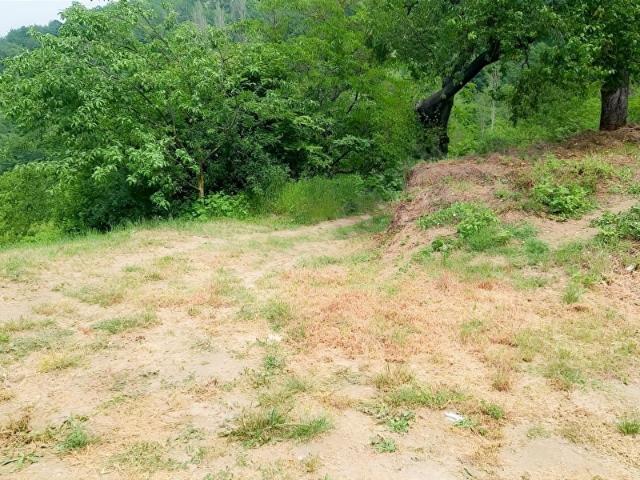 Gemlik, Bursa içerisinde satılık mülk