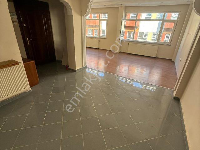 İstanbul Merkez, İstanbul içerisinde kiralık mülk