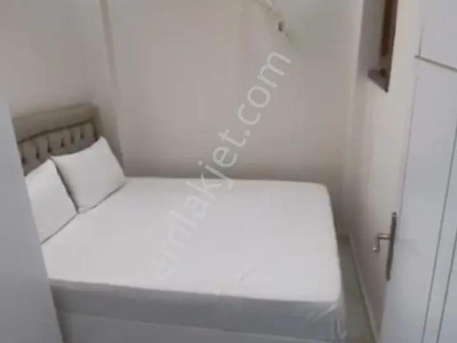 İstanbul Merkez, İstanbul içerisinde kiralık mülk
