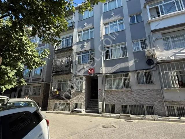 İstanbul Merkez, İstanbul içerisinde satılık mülk