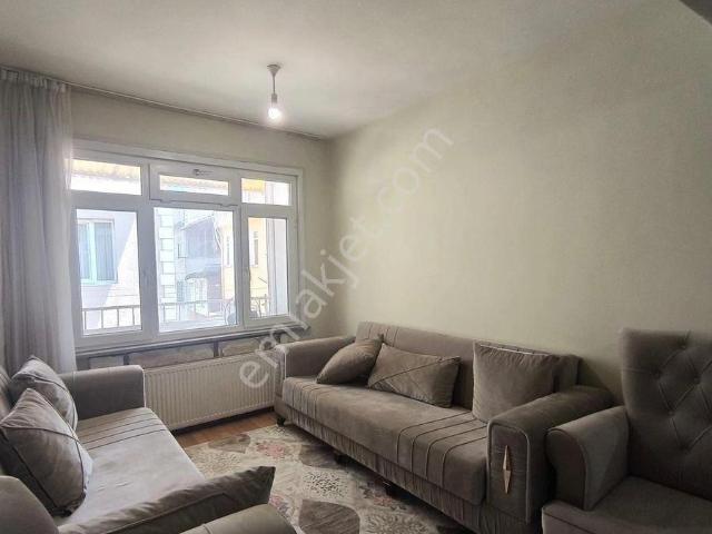 İstanbul Merkez, İstanbul içerisinde kiralık mülk