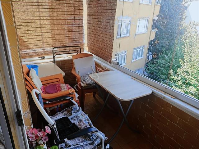 İstanbul Merkez, İstanbul içerisinde kiralık mülk
