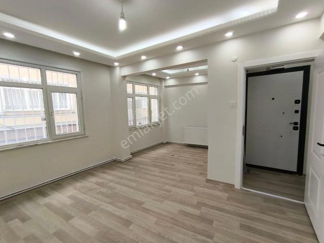 İstanbul Merkez, İstanbul içerisinde kiralık mülk